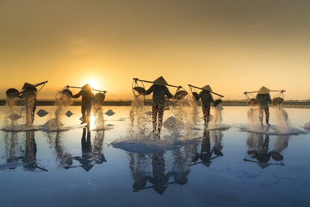 Vibrant Vietnam