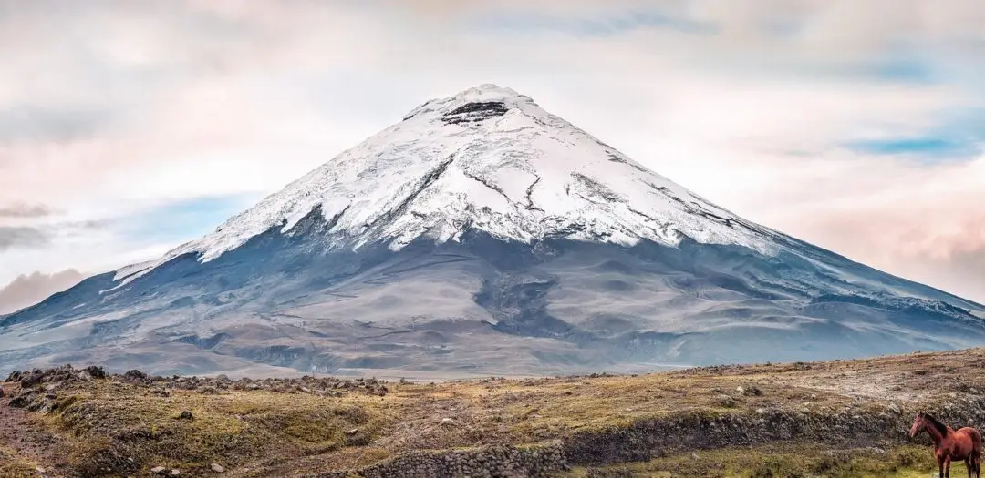 Epic Ecuador