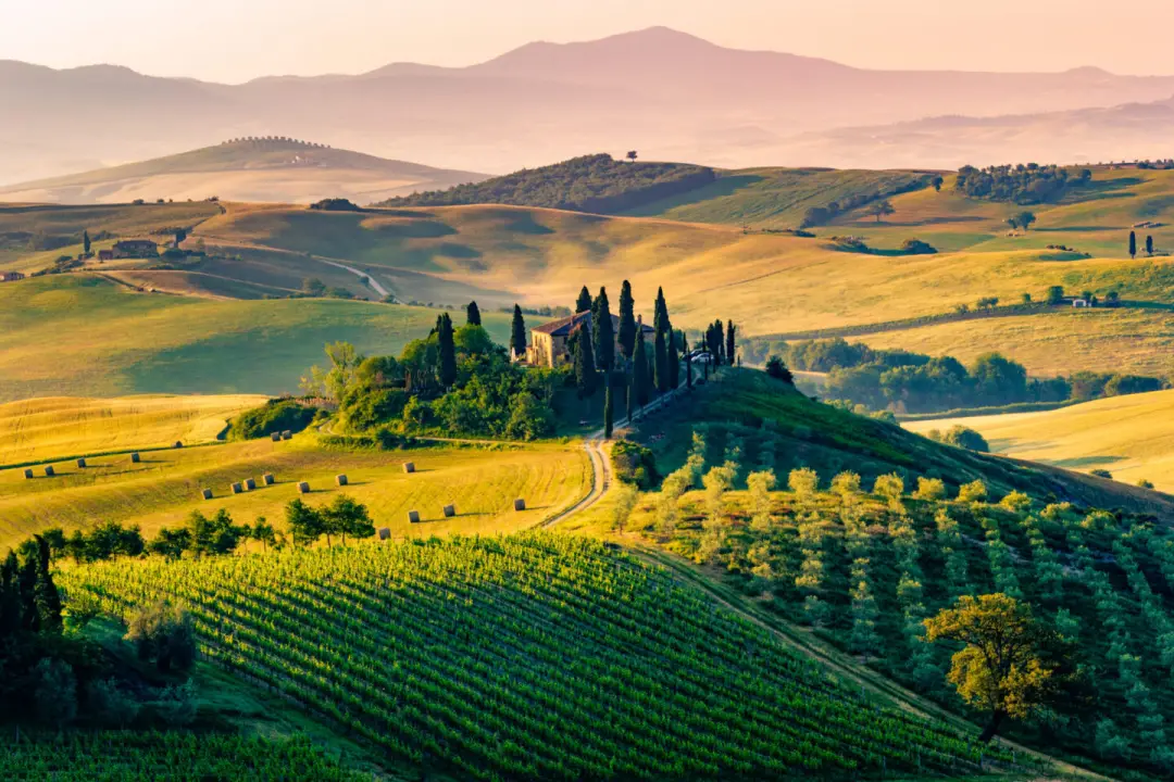 A Taste of Italy