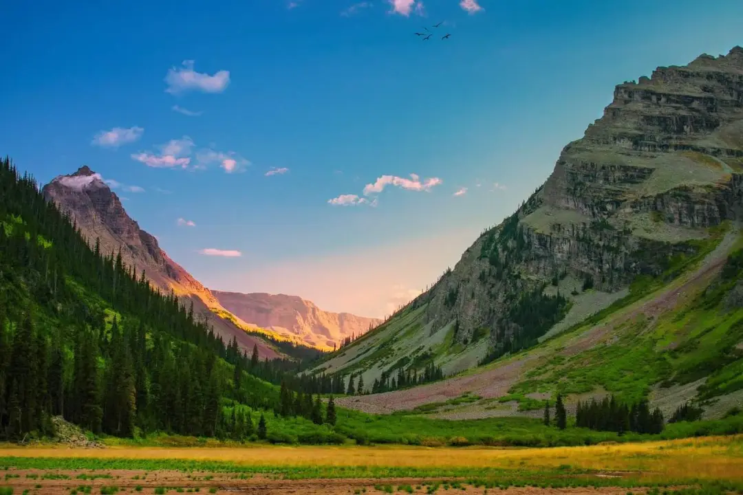 Wild Montana